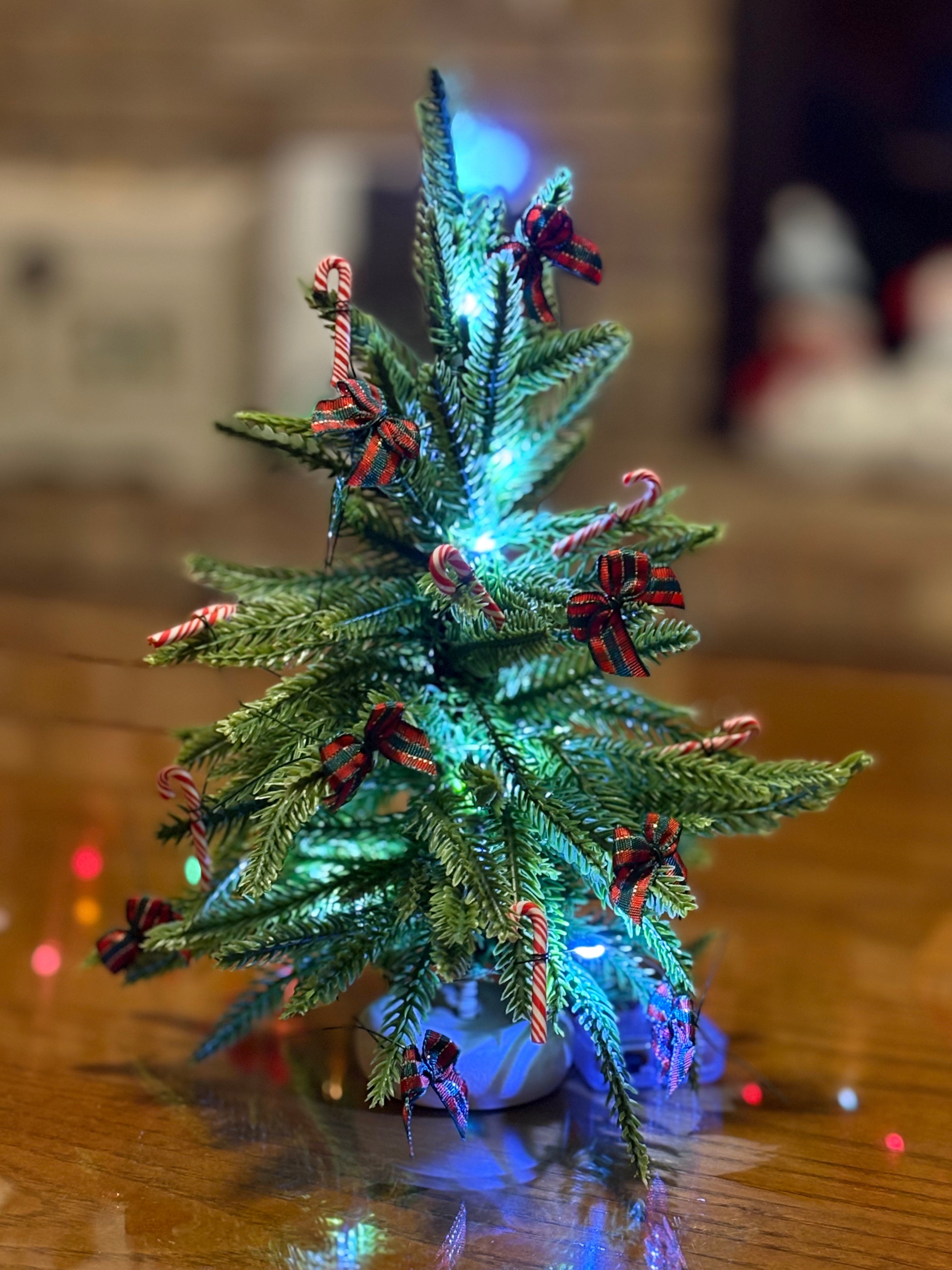 Dollhouse Christmas Tree with Faux Norfolk Pine Branches and Fairy Lights - 1:12 Scale